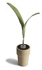 leaf homefrequence citroen